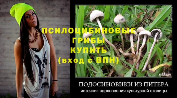a pvp Медногорск