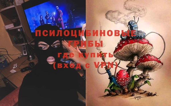спиды Майский