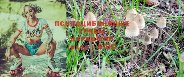 ешки Магас